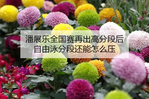潘展乐全国赛再出高分段后 自由泳分段还能怎么压