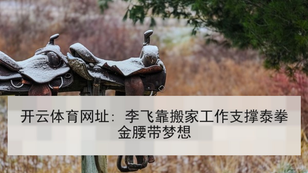 开云体育网址: 李飞靠搬家工作支撑泰拳金腰带梦想 开云体育网址: 李飞靠搬家工作支撑泰拳金腰带梦想