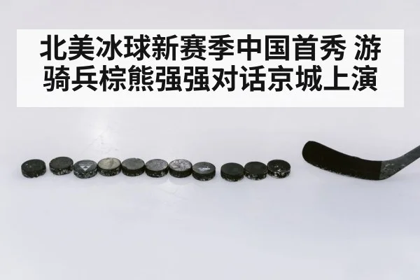 北美冰球新赛季中国首秀 游骑兵棕熊强强对话京城上演